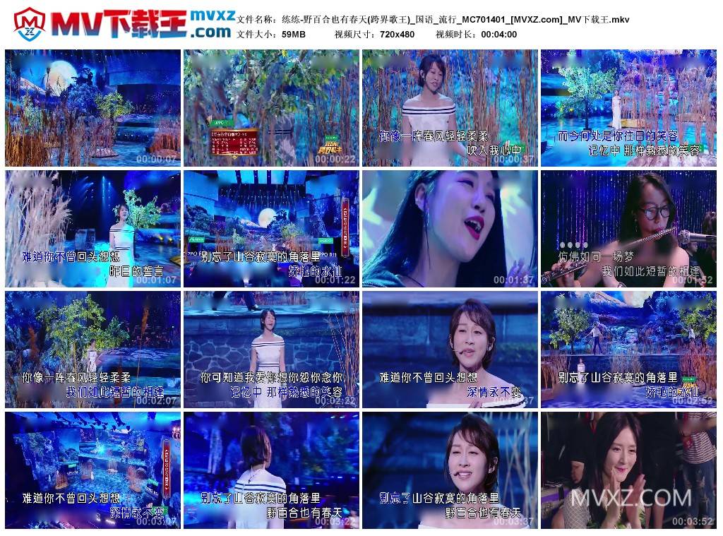 练练-野百合也有春天(跨界歌王)_国语_流行_MC701401